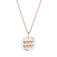 Aquarius charm in silver and 9K rose gold - Rose Gold & Silver