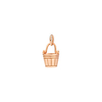 Aquarius charm in 9K rose gold Black cord included - Rose Gold