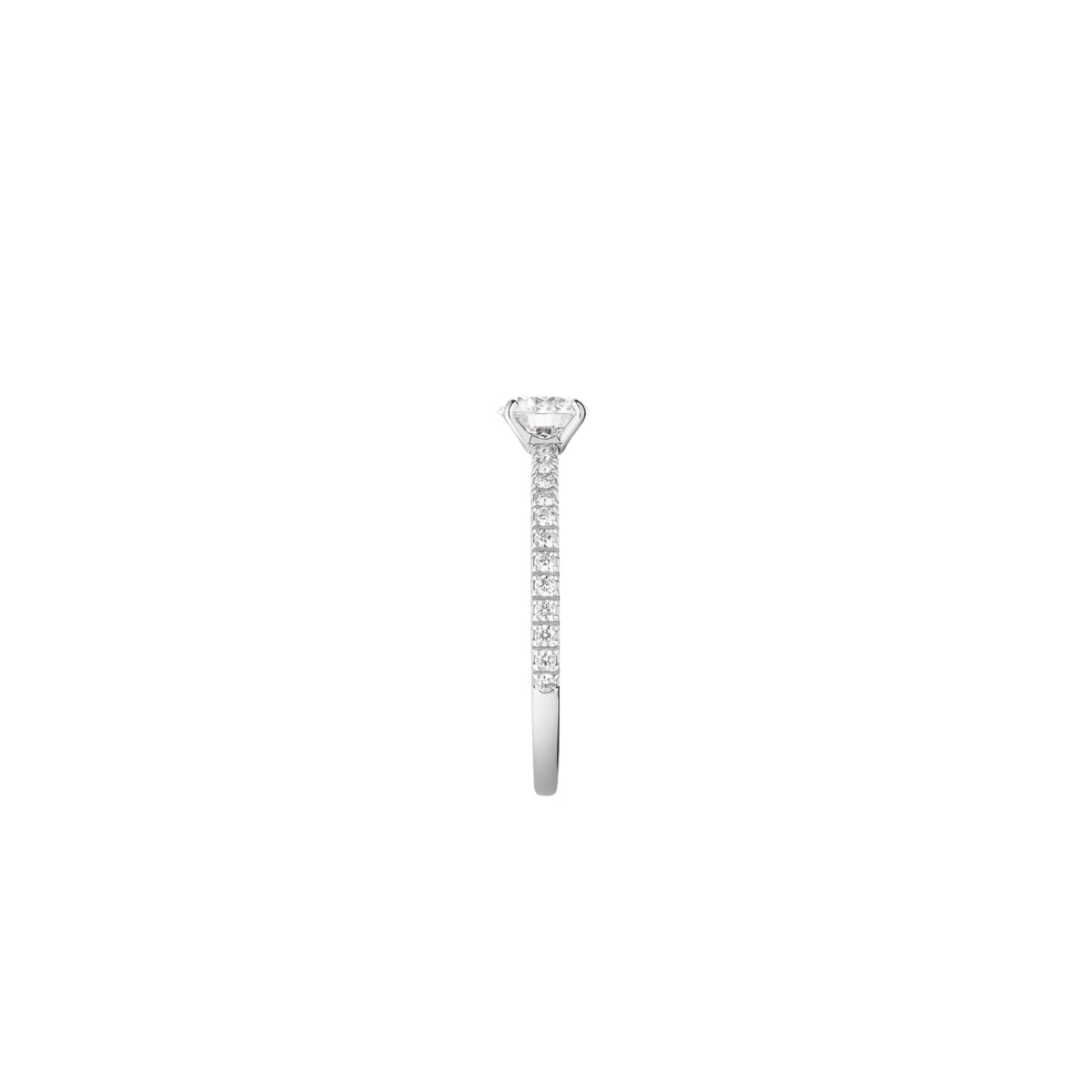 Mini Beloved platinum & round diamond 0.50 carat paved diamonds Solitaire - White